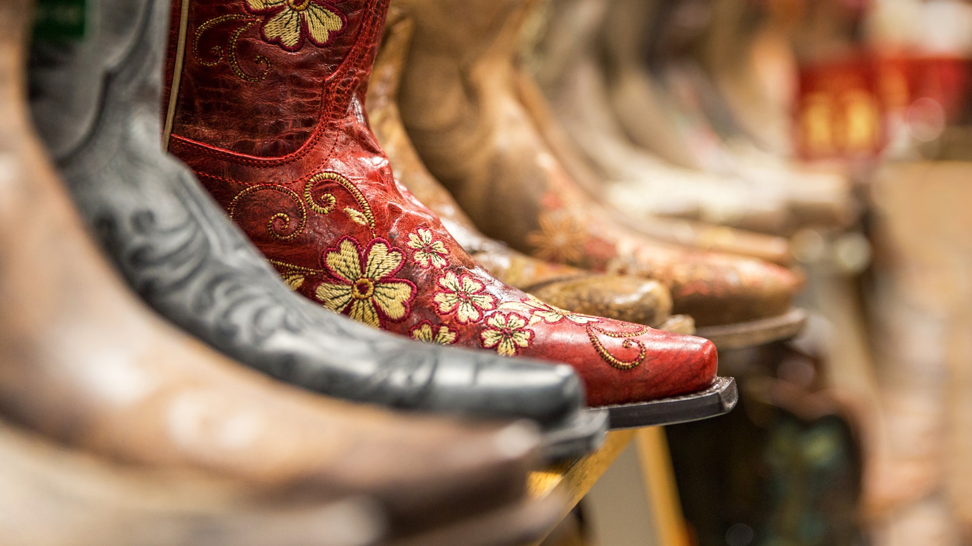 Go Texan Day - South