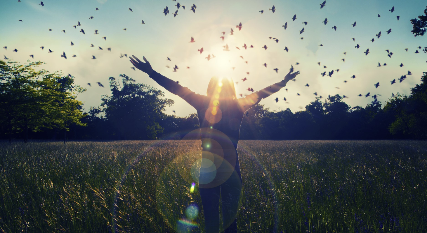 Joy of Living - Romans - North