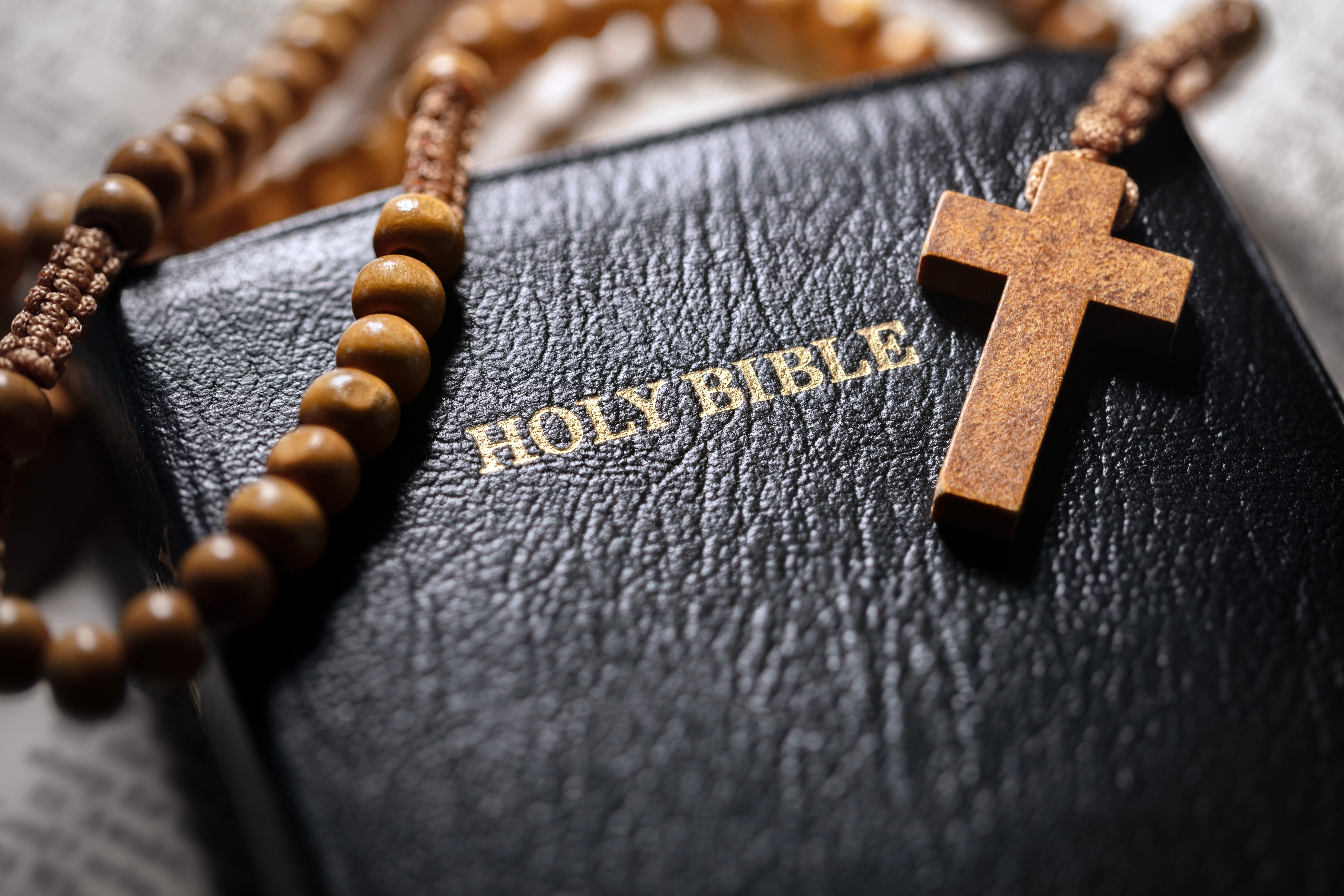 Systematic Theology Bible Study- North
