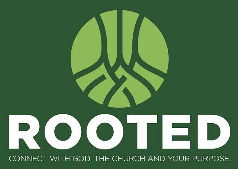 Rooted - Midweek Bible Study