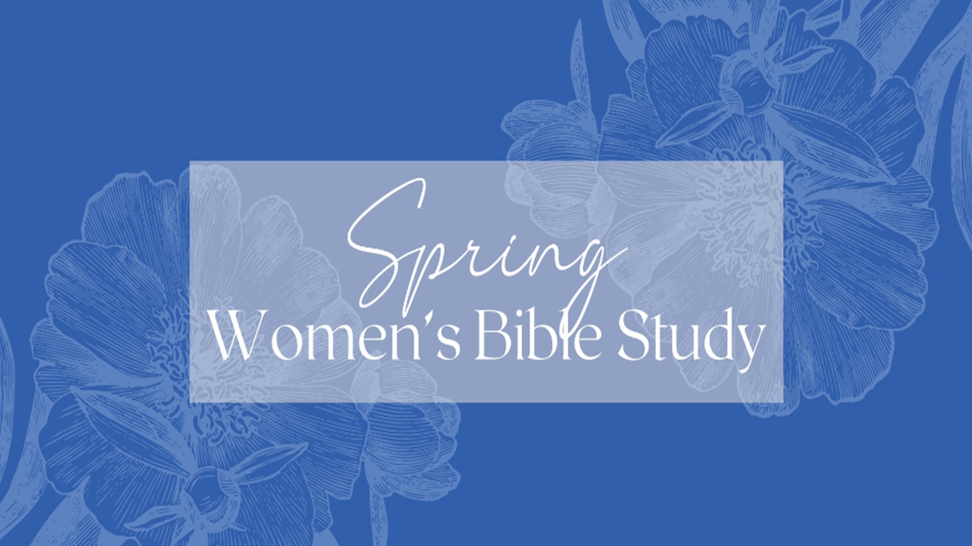 Spring Women’s Bible Study – 1463